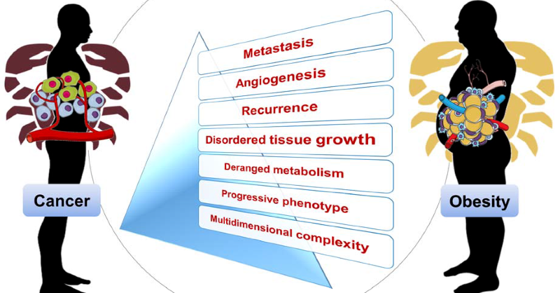 LipidNews's tweet photo. Let's learn the lesson from the tale: the Emperor’s New Clothes 👑🧢
The reality is: Obesity is a disease, as cancer is. 🕵️‍♂️
Obesity disease patients need recognition and help for their disease.
🩺🥼💉💊

https://t.co/zRYcFlcGDl

https://t.co/tbtgXP8kNf https://t.co/WQ6gjGmKQd
