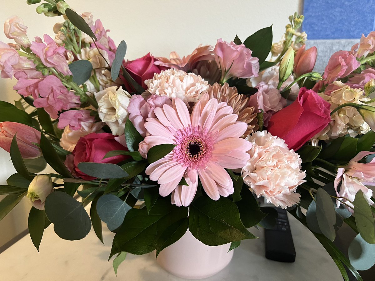 itshafu's tweet photo. Celebrating 4 years of marriage with @dogdog today 🥰 https://t.co/iVEmk1R4Ti