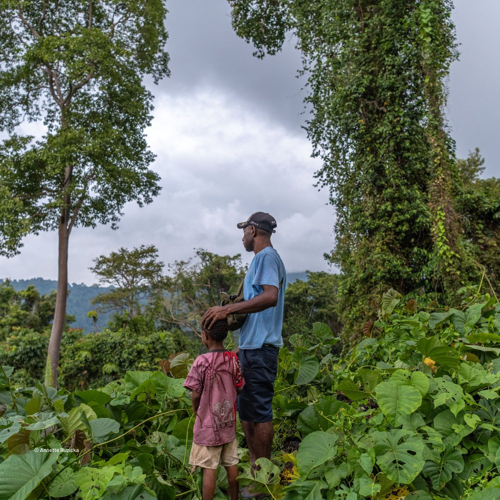 🌳 #MangroveForests bring immense benefits to a coastal population of 5 million people in Papua New Guinea, but they are at risk of disappearing. Learn more about the initiatives that helped conserve these ecosystems through #LocalStewardship: nature.ly/3RLYUbp