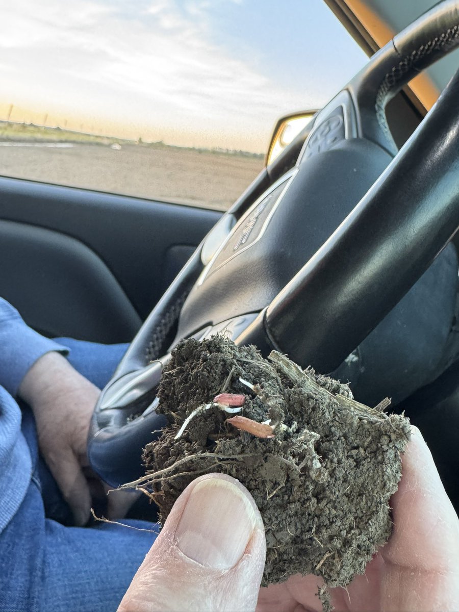 Isbell Farms tweet media