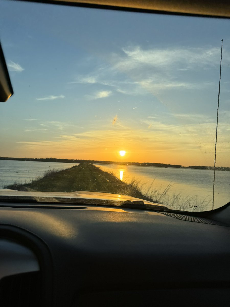 Got home from Sake Fest to find the rice breaking through and also a gorgeous sunset! Sake Fest highlights coming tomorrow! #isbellfarms #plant2025