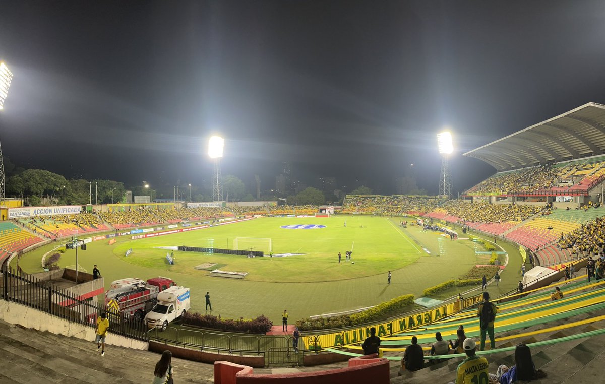 AleexisQuintero's tweet image. Atado a tu destino, leopardo querido! 💛🔰