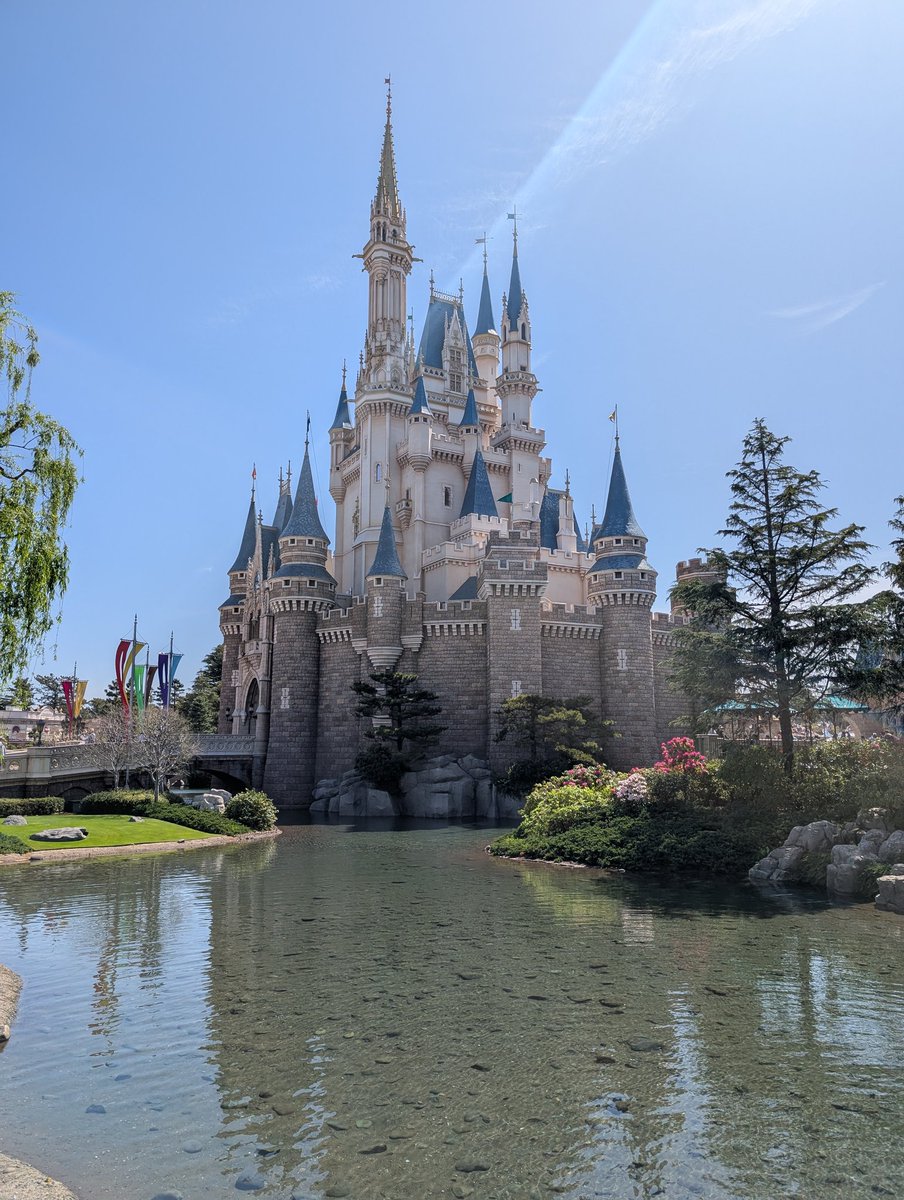 Tom Howard 🦎 tweet media