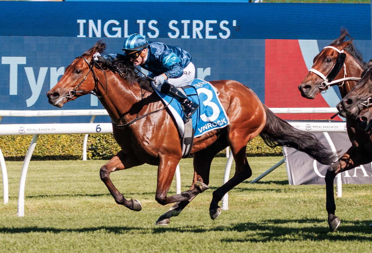 Yulong Investments (@yulonginvest) on Twitter photo ⚜️Yulong is delighted to announce the acquisition of unbeaten Gr.1 Sires’ Produce winner 𝐕𝐢𝐧𝐫𝐨𝐜𝐤, with the <a href="/mattlaurierace/">Matt Laurie Racing</a>-trained colt set to race in the bottle green and white silks this coming spring.
Read more👇
bit.ly/4lBS2LF ⚜️Yulong is delighted to announce the acquisition of unbeaten Gr.1 Sires’ Produce winner 𝐕𝐢𝐧𝐫𝐨𝐜𝐤, with the <a href="/mattlaurierace/">Matt Laurie Racing</a>-trained colt set to race in the bottle green and white silks this coming spring.
Read more👇
bit.ly/4lBS2LF
