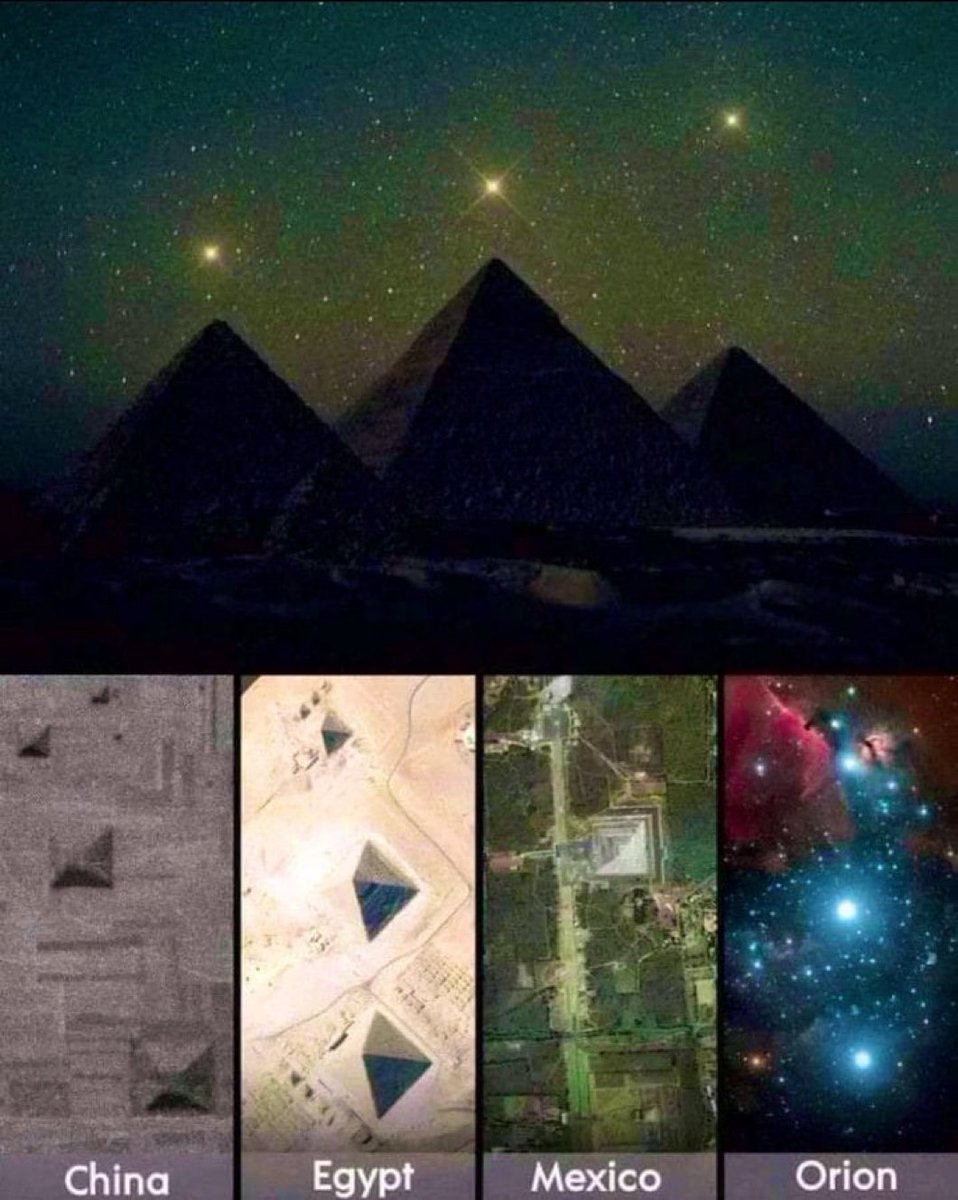 Brian Roemmele tweet media