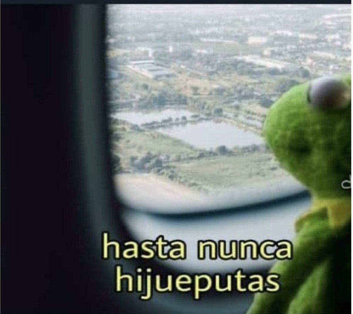 La compañerita mañana