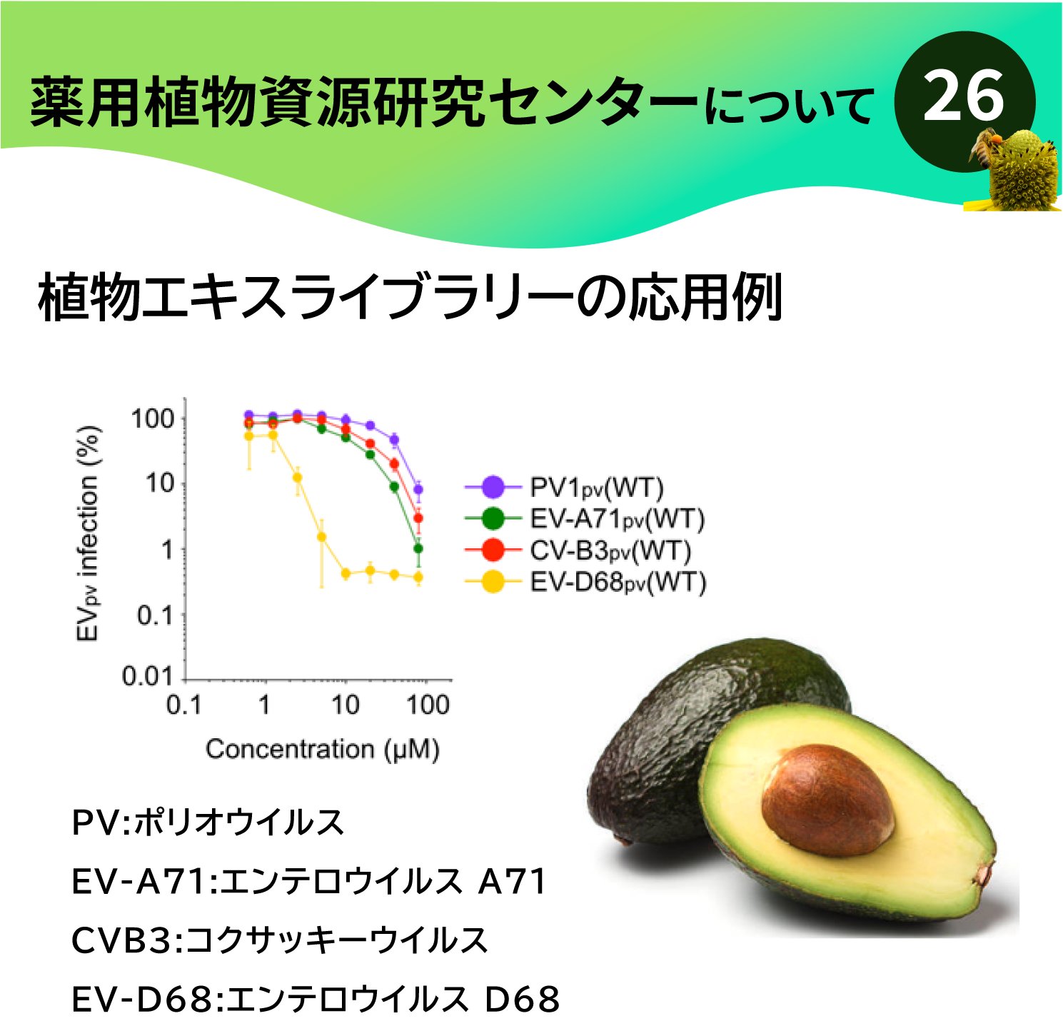国立研究開発法人医薬基盤・健康・栄養研究所（NIBN