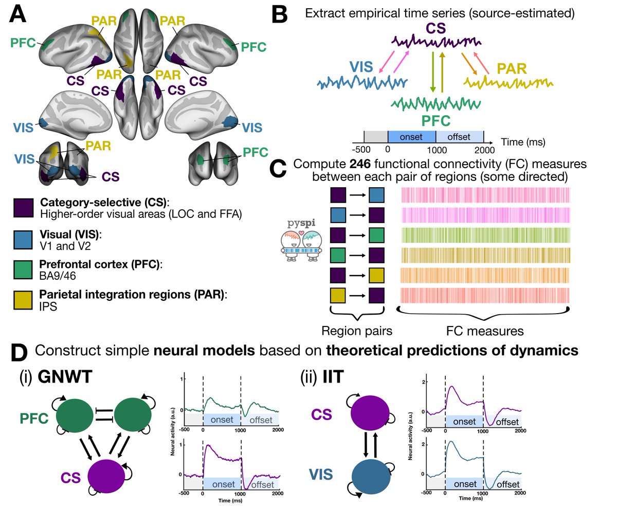 x-less Chris Whyte and I introduce a novel data-driven framework to evaluate &gt;200 connectivity-based neural correlates of consciousness! Results are used to quantitatively compare outputs from neurodynamical models tailored to theoretic predictions.
biorxiv.org/content/10.110…