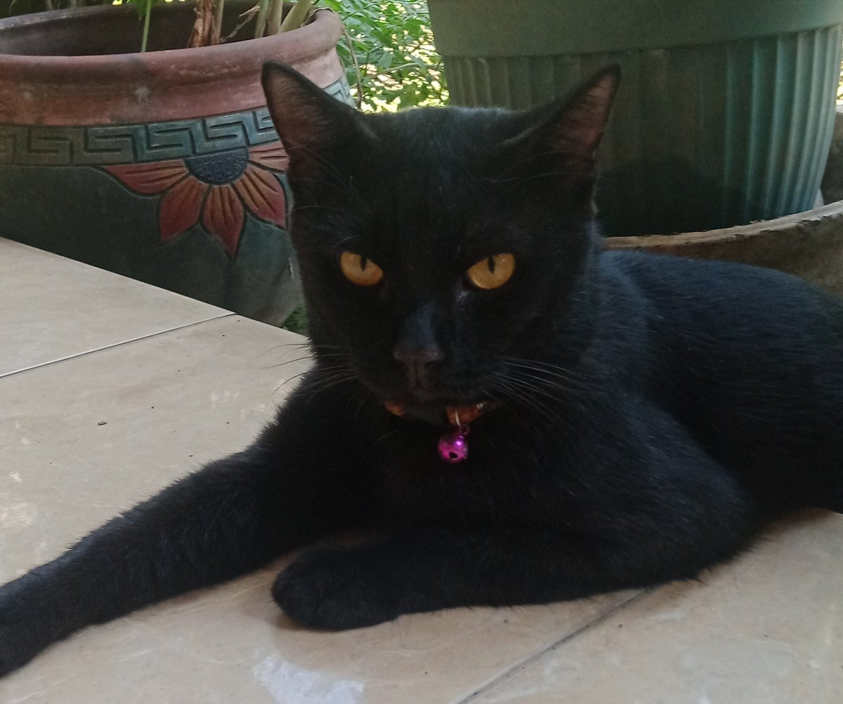 Rest in peace Joytun😿😿🫀🫀🫂🫂