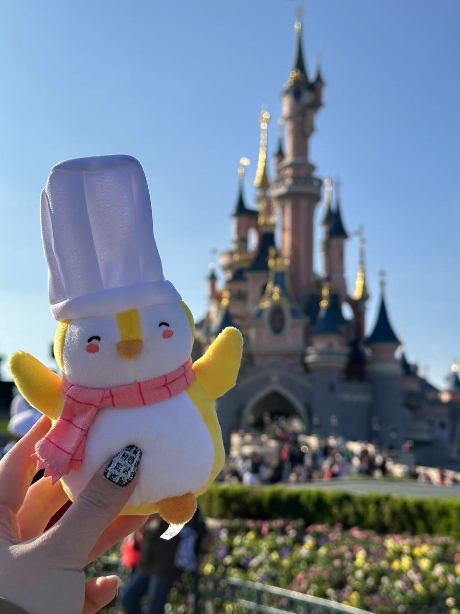 0xMeow🐱 tweet media