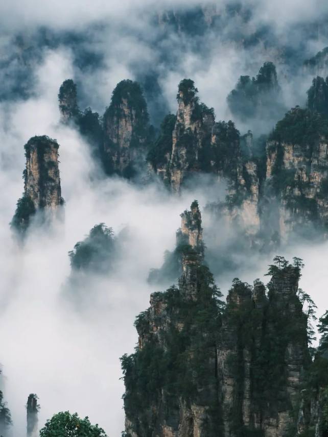 wprspros's tweet photo. Zhangjiajie National Park is truly amazing!#ChinaTravel https://t.co/RIGrd5rU5e