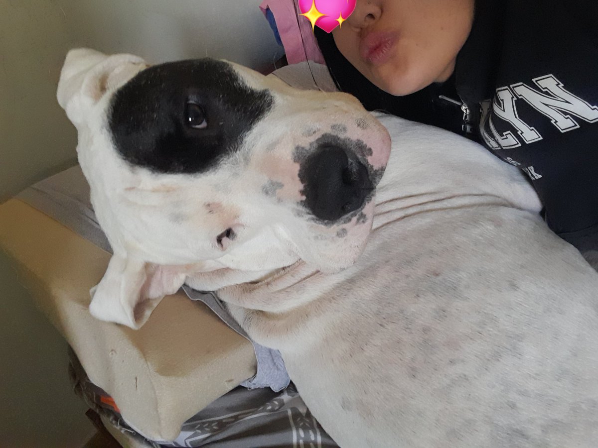 Lo que más nos gusta de las mañanas,es cuando Agustín se va a trabajar a las 6 y queda toda la cama para nosotros 🤣🫶🏻Drako feliz