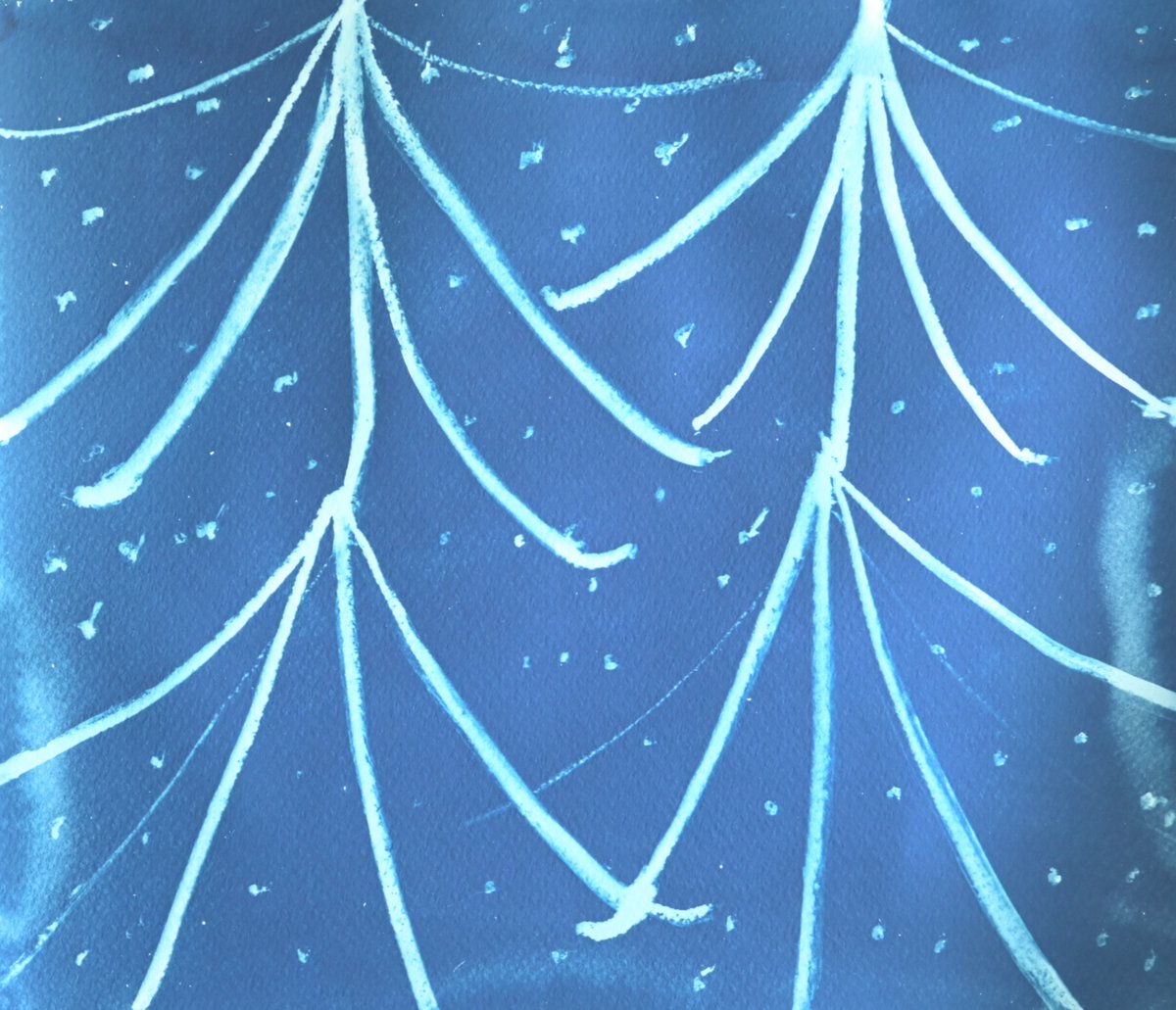 出展します✨

WHAT CAFE EXHIBITION vol.41
ON PAPER: Art and Print Market

2025/5/3(土)～6(火)
WHAT CAFE (東京 天王洲)
入場無料

展示作家
沖綾乃、木下理子、忠田愛、宮﨑菖子、若林菜穂

ドローイング、ペインティング、版画、写真など、紙を媒体とする作品が一堂に会するイベントです！