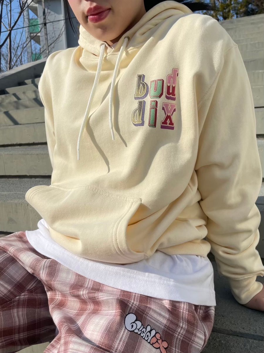 buddix Retro Logo Hoodie FANTASTICS fantastics buddix Co Logo