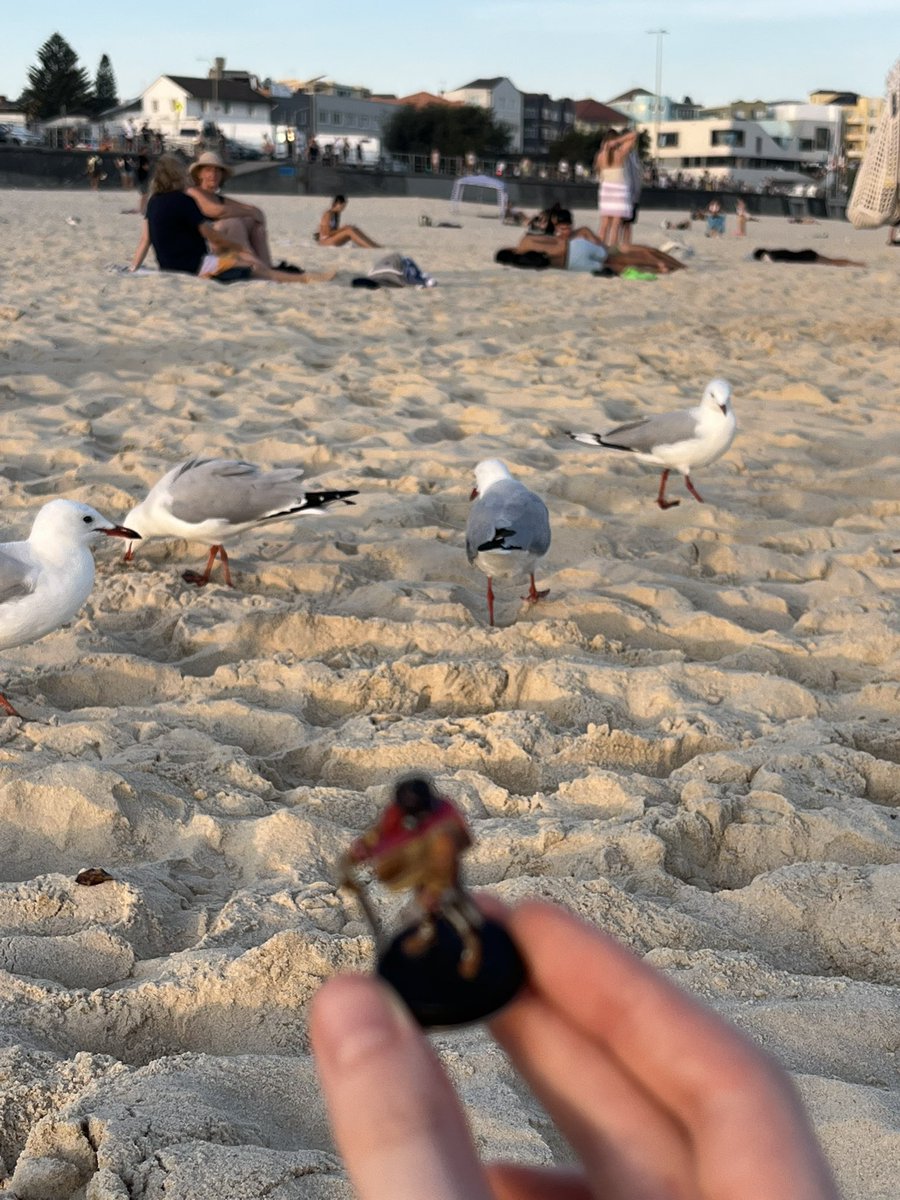 whereiscalroy's tweet photo. calroy is hanging with seagulls https://t.co/DJw7pzLHQe