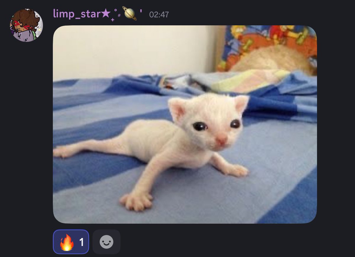 what one month with no chorion does to us 🙏