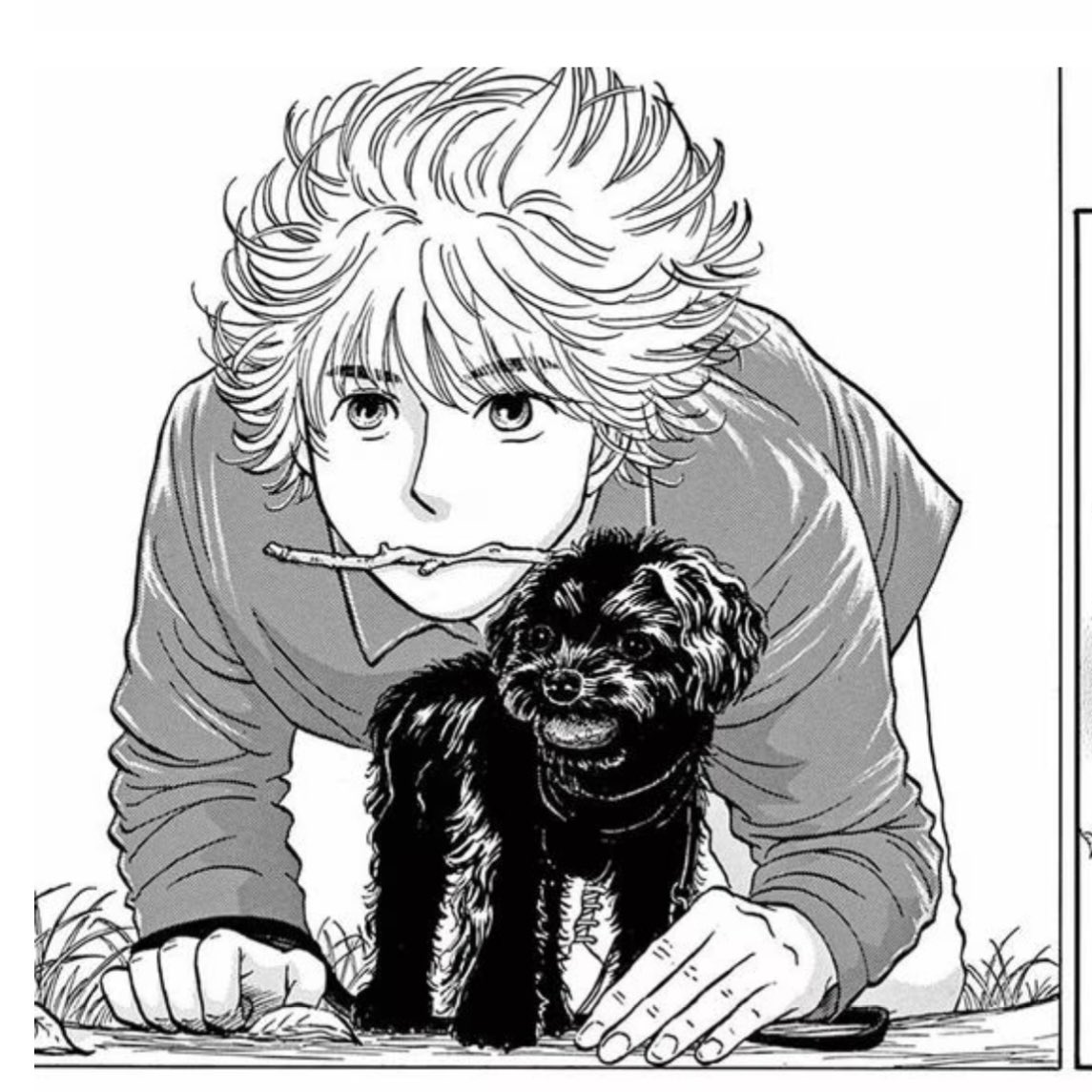 toshiakiになってます