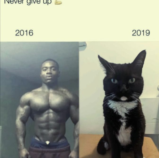 hourly_shitpost's tweet photo. https://t.co/Qt7BOMfg8c