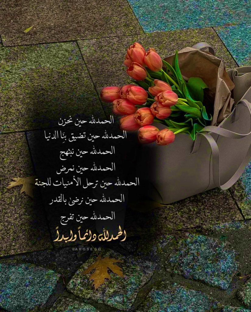 aisha_sameh's tweet photo. #اذكر_الله

🍃الَّذِينَ آمَنُوا وَتَطْمَئِنُّ قُلُوبُهُمْ بِذِكْرِ اللَّهِ

 ۗ أَلَا بِذِكْرِ اللَّهِ تَطْمَئِنُّ الْقُلُوبُ🍃 https://t.co/byOvRDPJ0U