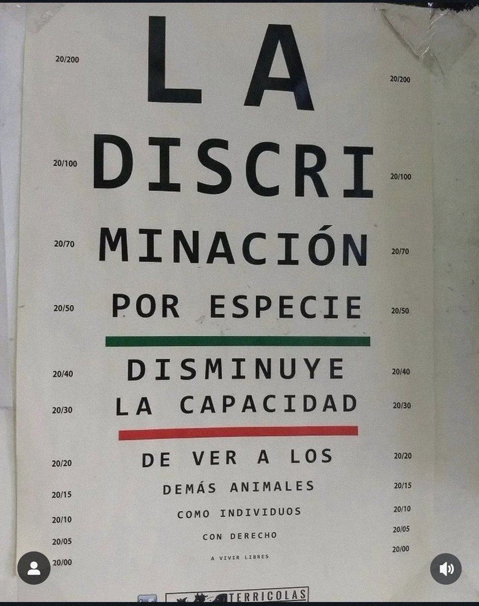 vhoreflexivo's tweet photo. #NoExplotaciónAnimal https://t.co/ibX0XdB6sA