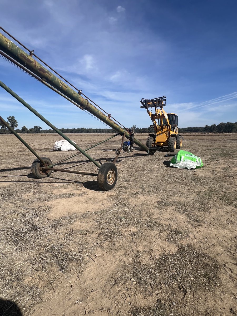 gengrainaust's tweet photo. Growers making a start to sowing in Riverina, with dual purpose crops like this cv.Eurabbie oats going in dry(2”) mid-April, 2 get a water@up. Protect seedling with Gaucho + Raxil pickle. Good P levels here off alluvial soil on Bidgee with seed crop history. #wontgrowinsilo https://t.co/gEBHFjoC7q