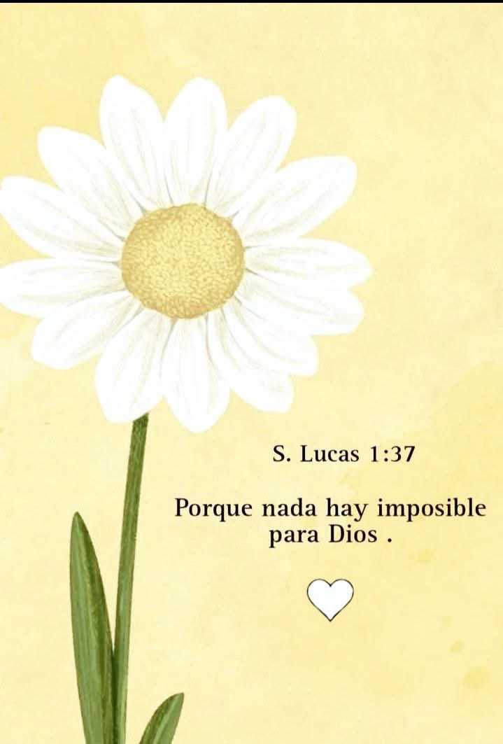 Míri@m (@miriambms7) on Twitter photo 