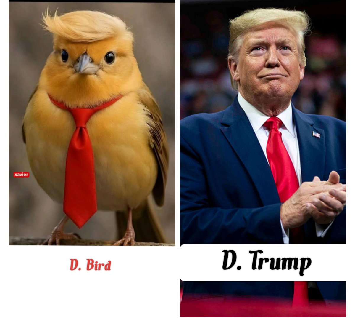 DrxJeherul78185's tweet image. When Evolution Gets Political: D. Bird vs. D. Trump
#DTrump 🧑‍⚖️ #FunnyBird 🐤 #LookAlike 👀
#ViralMeme 🔥 #TrumpBird 🤣 #PoliticalHumor 🗳️
#AIArt 🎨 #BirdMeme 😆 #SideBySide 📸 #TrendingNow 📈