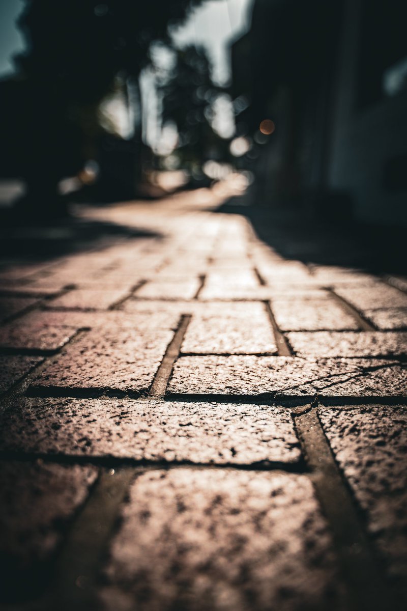 Case DeStefano tweet media