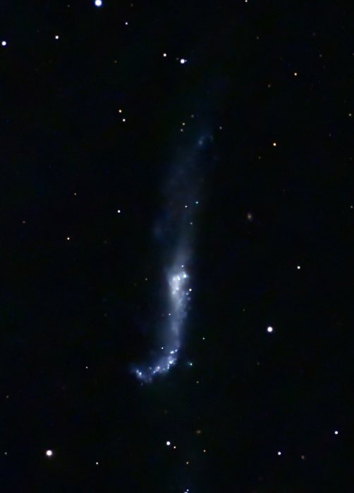 NGC 4656 also known as the Hockey Stick Galaxy. 1,037 pictures at 10 seconds each taken with the Celestron Origin telescope. Pictures stacked and processed in PixInsight.