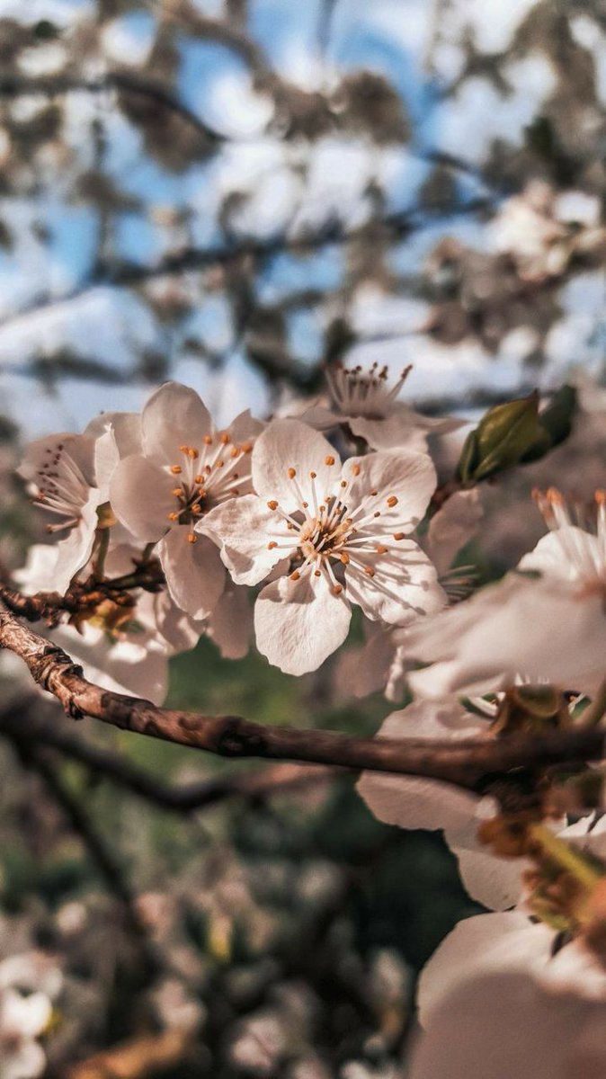 "ولك عند الله خيراً يُؤجله حتي تتهيأ ظروفك لأستقباله."
أسعد الله صباحكم بكل خير