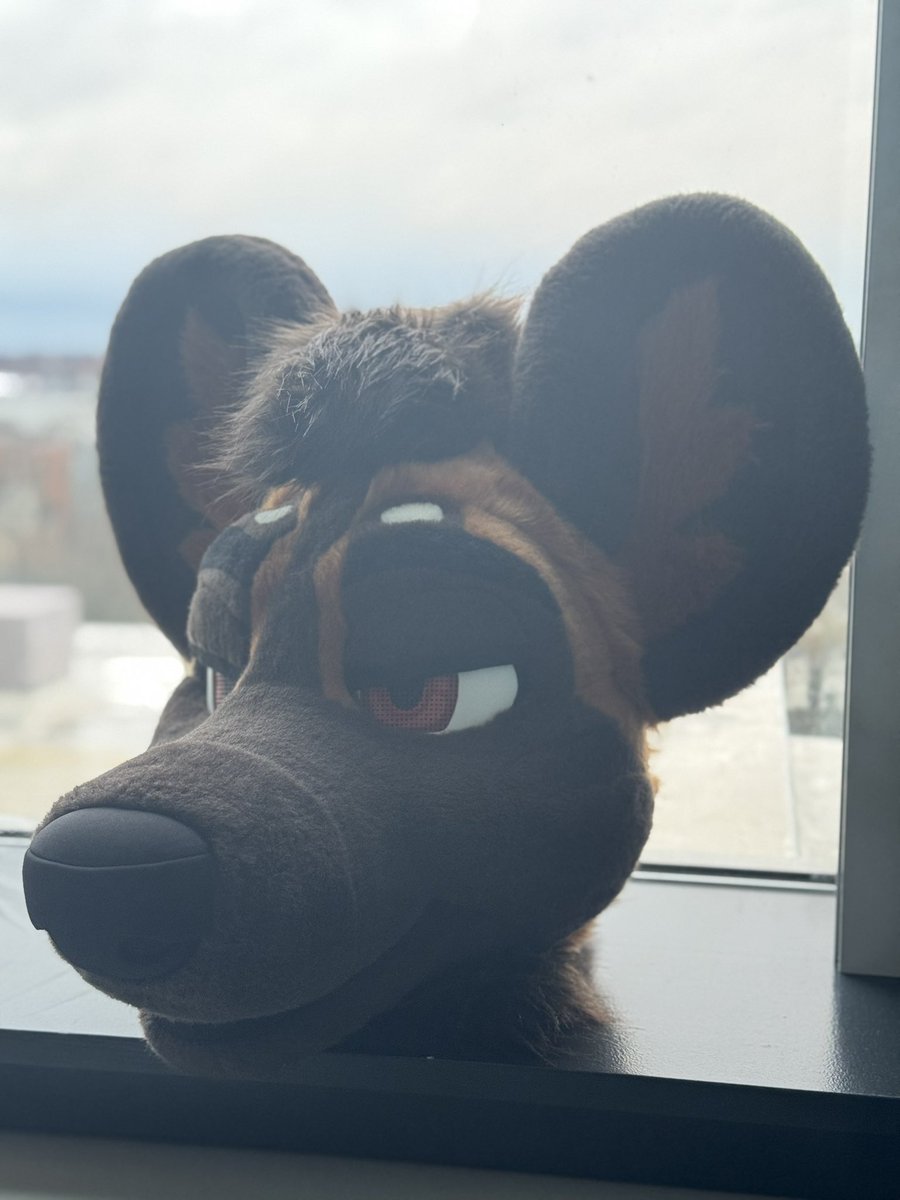 Voss π FWA (@vossthedog) on Twitter photo Another amazing FCL in the books, I suited for damn near 20 hours, smoked way more weed than I should have, and had a absolute blast meeting so many wonderful people
Thank you <a href="/Dyceycollie/">πΏπΏ Dycey πΏπΏ</a> for being my guide dog around Portland πβ€οΈ Another amazing FCL in the books, I suited for damn near 20 hours, smoked way more weed than I should have, and had a absolute blast meeting so many wonderful people
Thank you <a href="/Dyceycollie/">πΏπΏ Dycey πΏπΏ</a> for being my guide dog around Portland πβ€οΈ