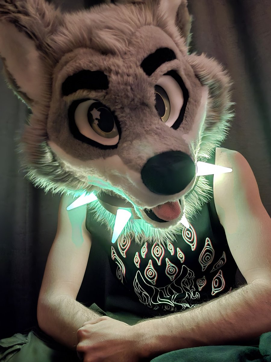 I glow in the dark ✨️

Thank you <a href="/blushpuppii/">𝖇𝖚𝖙𝖙𝖊𝖗𝖘𝖈𝖔𝖙𝖈𝖍 𝖘𝖍𝖎𝖇𝖆</a> for the awesome collar