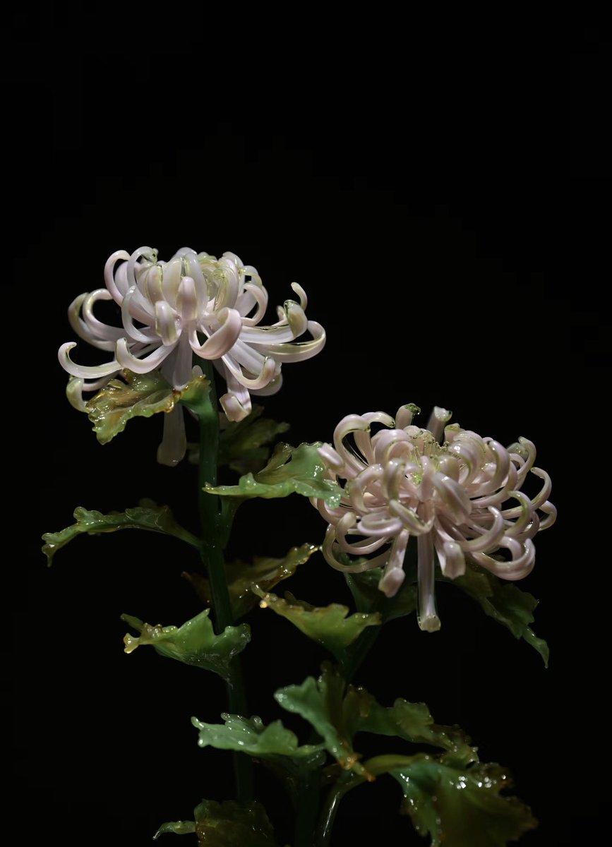 一只幸运猫🐱 (@hanmiemiel15604) on Twitter photo 