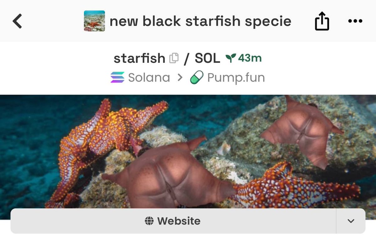 Lil Misha tweet media