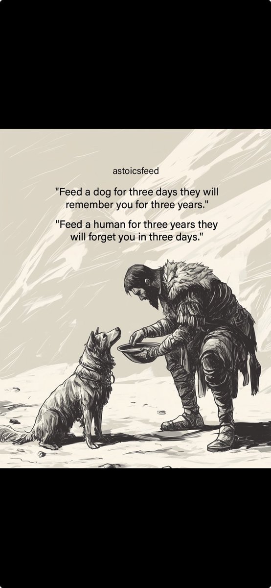 Jordan B tweet media