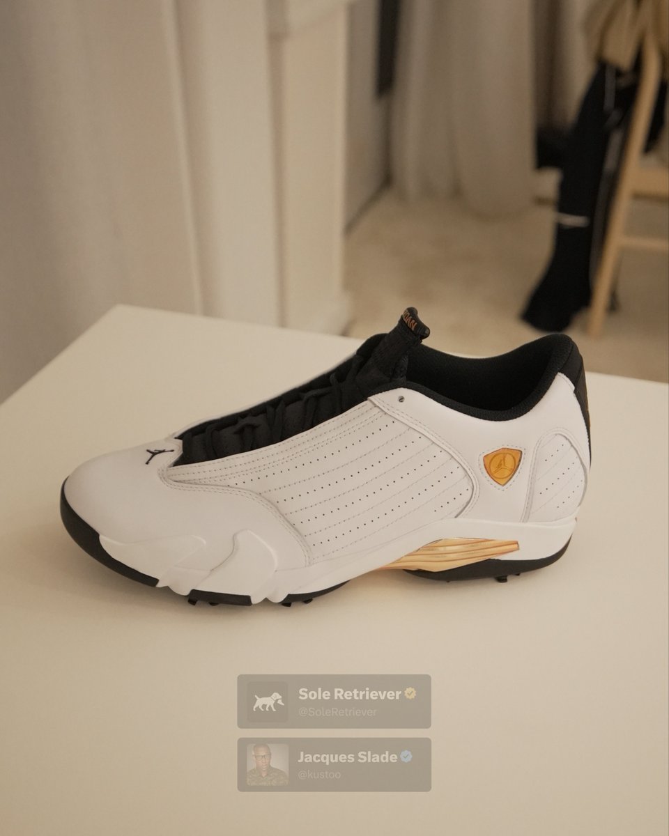 Sole Retriever tweet media