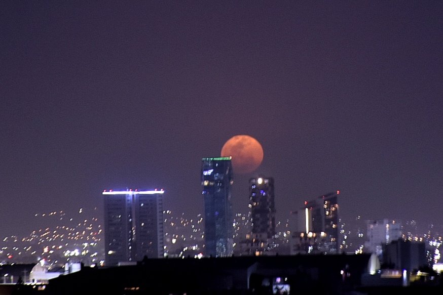 Webcams de México tweet media