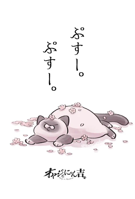 今週の「#オヤジとにゃん吉」はお休みを頂いております🌸 
