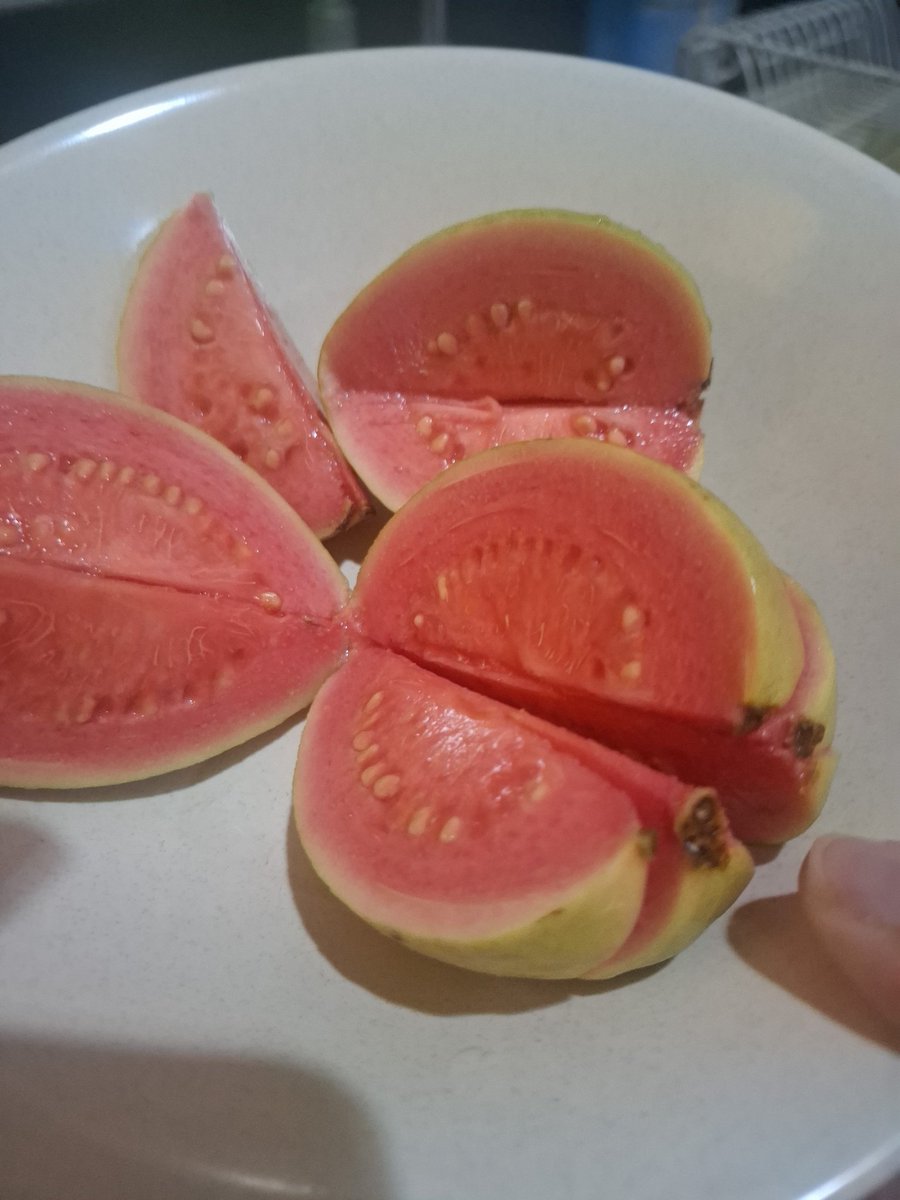 Gila teksturnya ke puding