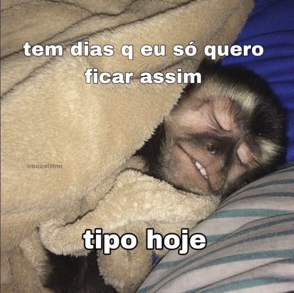 Trouxinha (@euovitinn) on Twitter photo 