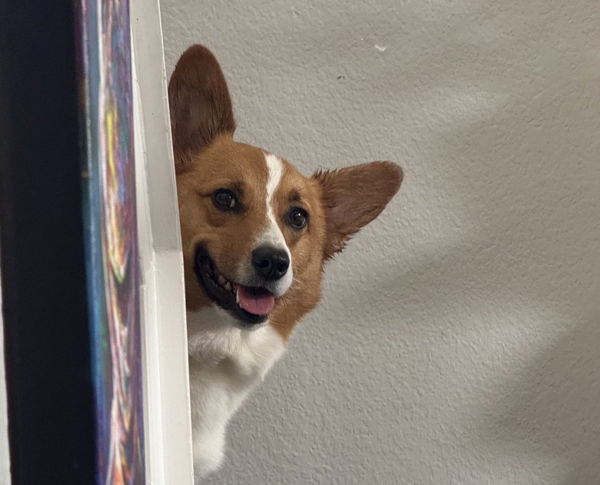 Thank you for the birthday wishes this weekend ❤️❤️

Hashbrown ate all the cake