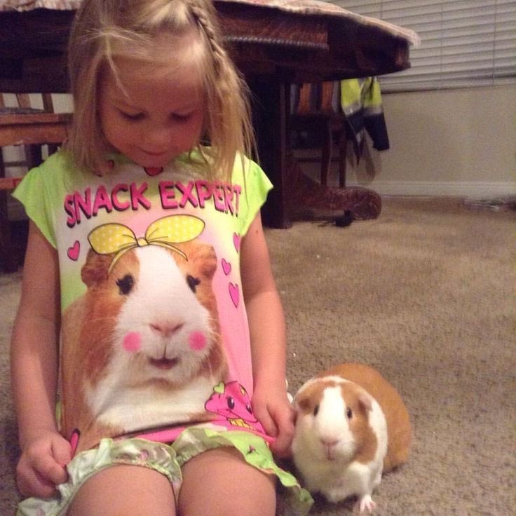 이거완전 떵누랑 떵호