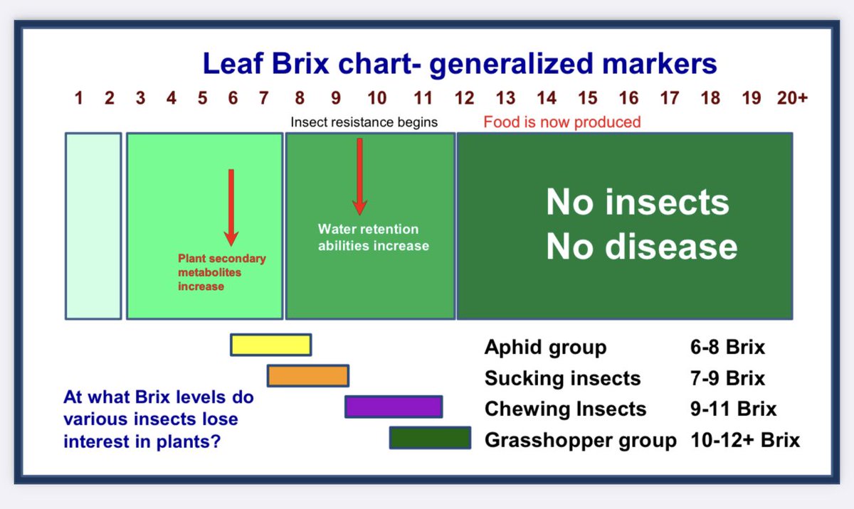 Winter wheat came out of winter in great shape. Did a Brix test today, it’s incredible at 22.3! Strong Photosynthesis is pumping Carbohydrates into the ground to feed the soil microbiome in symbiosis with the plant. Harnessing the sun energy through nature. Fascinating!!!🤨