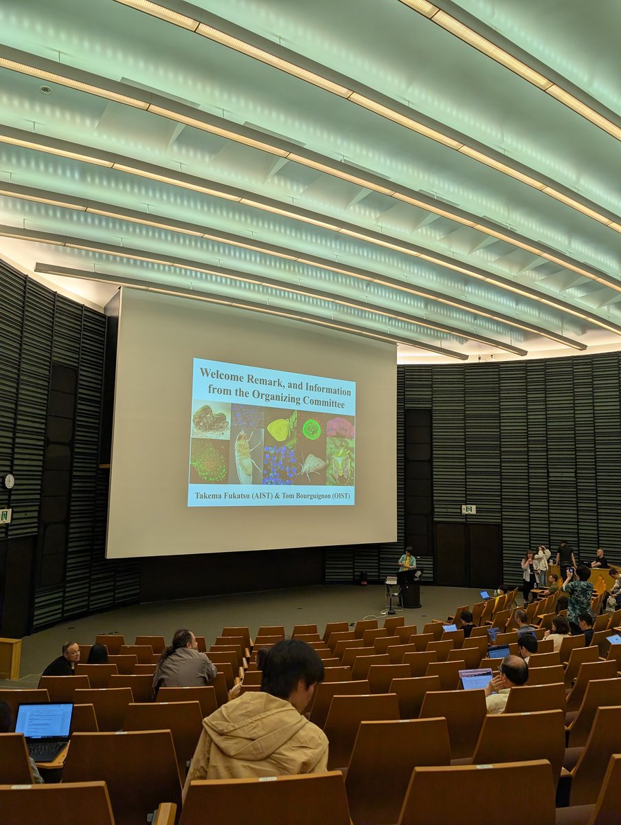 DaniellaAnL1's tweet image. Conference time! So excited to attend my first Wolbachia conference! Such a beautiful location #wolbachiaconference2025
#wolbachia #oist #okinawa