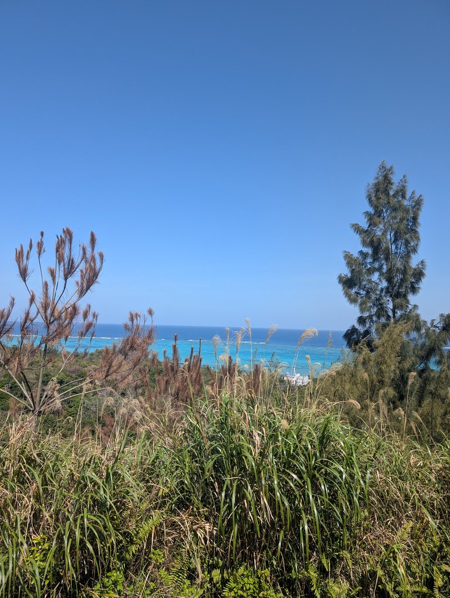 DaniellaAnL1's tweet image. Conference time! So excited to attend my first Wolbachia conference! Such a beautiful location #wolbachiaconference2025
#wolbachia #oist #okinawa