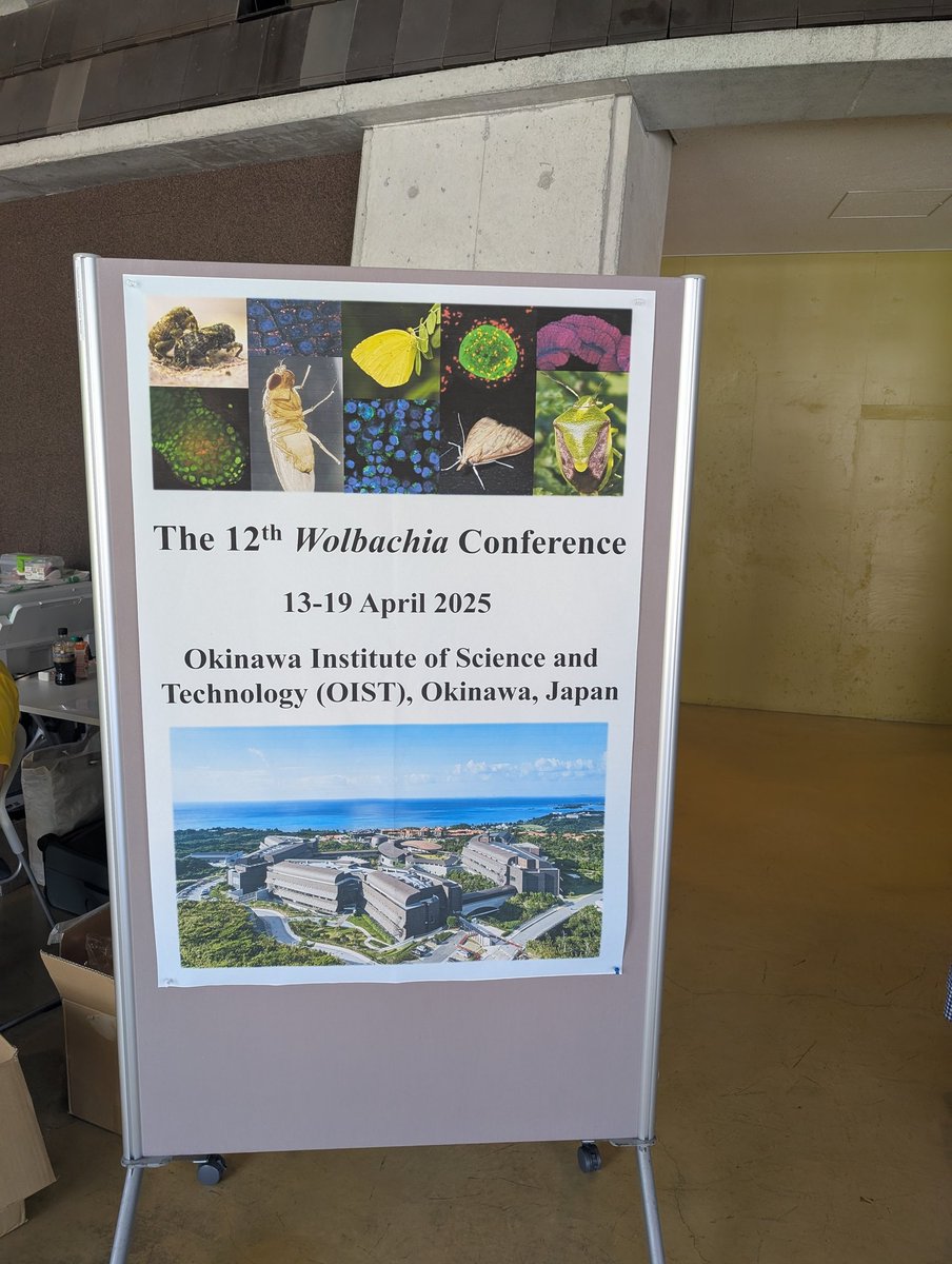 DaniellaAnL1's tweet image. Conference time! So excited to attend my first Wolbachia conference! Such a beautiful location #wolbachiaconference2025
#wolbachia #oist #okinawa