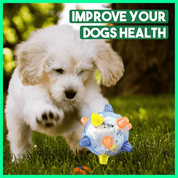 ZilotarSt's tweet photo. 🐶 Keep your pup active and healthy with this fun, interactive toy! ⚽ Designed to encourage play and exercise for a happier dog. 🐾 Boost your dog’s health today: https://t.co/95bjR4J99c https://t.co/cGLxt0GCa6
