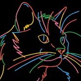 CatTheAlmighty's tweet image. #NewProfilePic