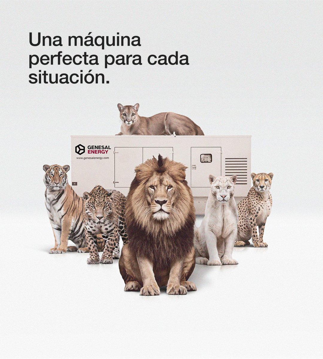 genesal_gensets's tweet photo. Una máquina perfecta para cada situación.
La energía 100 % adaptada no tiene rival.
No solo hacemos grupos electrógenos.
Hacemos que encajen.

Porque cuando todo está pensado al detalle,
la energía deja de ser una preocupación
y se convierte en ventaja.

https://t.co/hd8KetiOyC https://t.co/tGNWpQv9C4