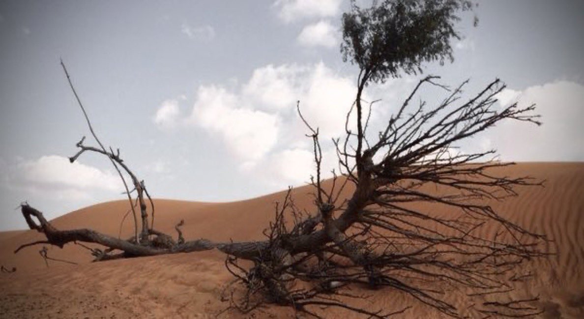 5rn_c's tweet photo. - مساء الخير - ١٢:٠٠ م 

    من عافـنا عفـناه لـو كـان غالي
"  و من باعنا بالرخص بعناه بزهود "

- مزنه مكازي الشمري - رحمها الله https://t.co/dOwCb3P6Xf